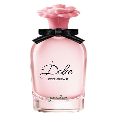 dolce gabbana thin and gorgeous|dolce and gabbana mujer.